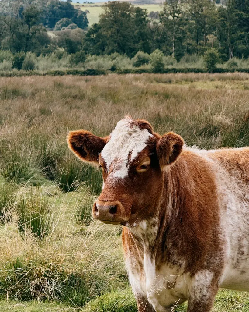 WhatsApp Image 2026-02-12 at 4.56.01 PM (1).webp