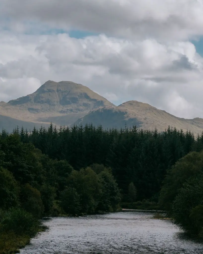 WhatsApp Image 2026-02-12 at 4.55.59 PM.webp