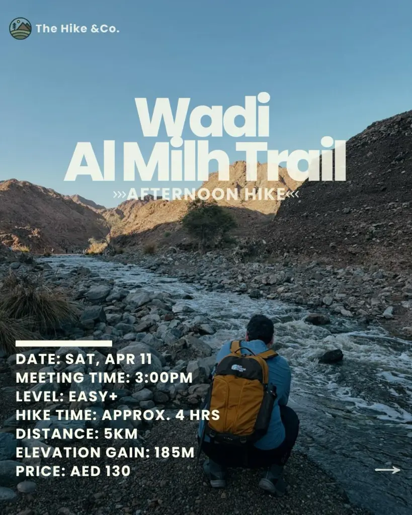 WhatsApp Image 2026-04-02 at 2.06.30 PM.webp