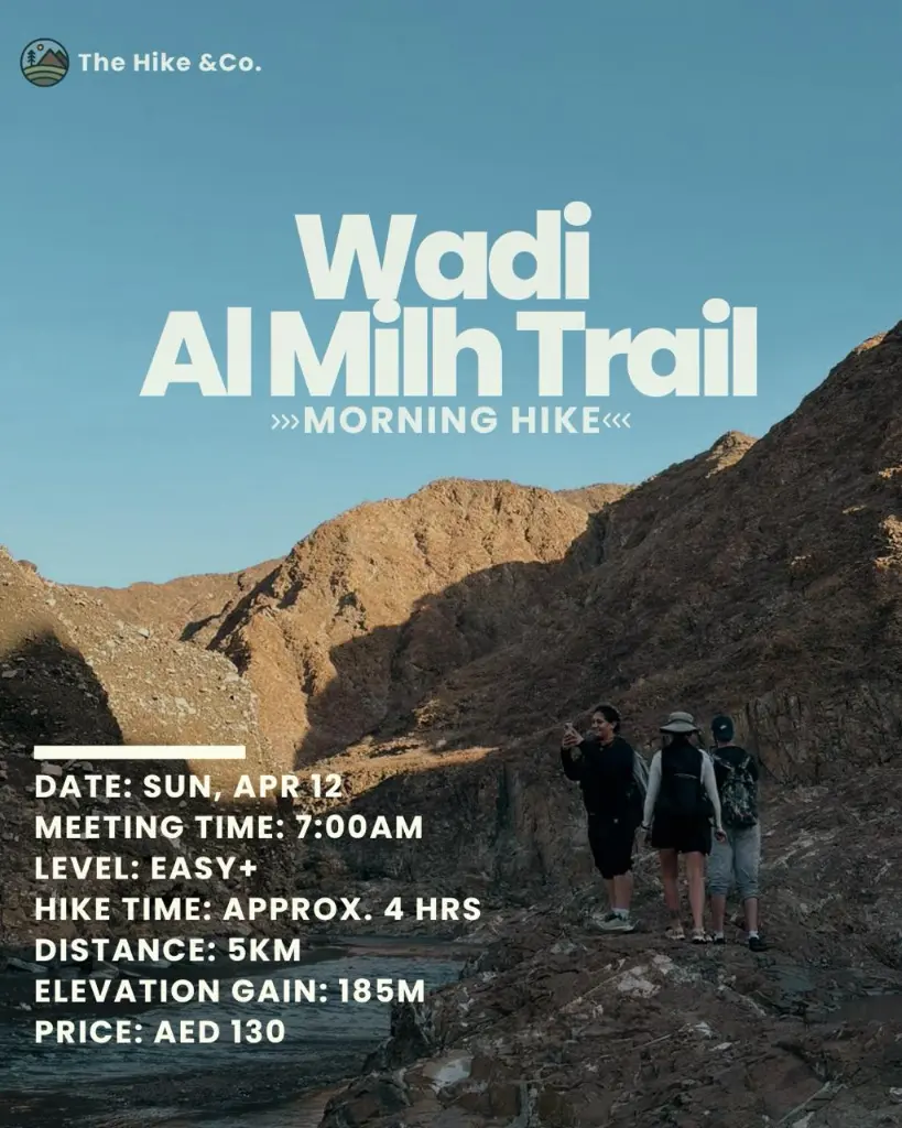 WhatsApp Image 2026-04-02 at 2.06.30 PM (2).webp