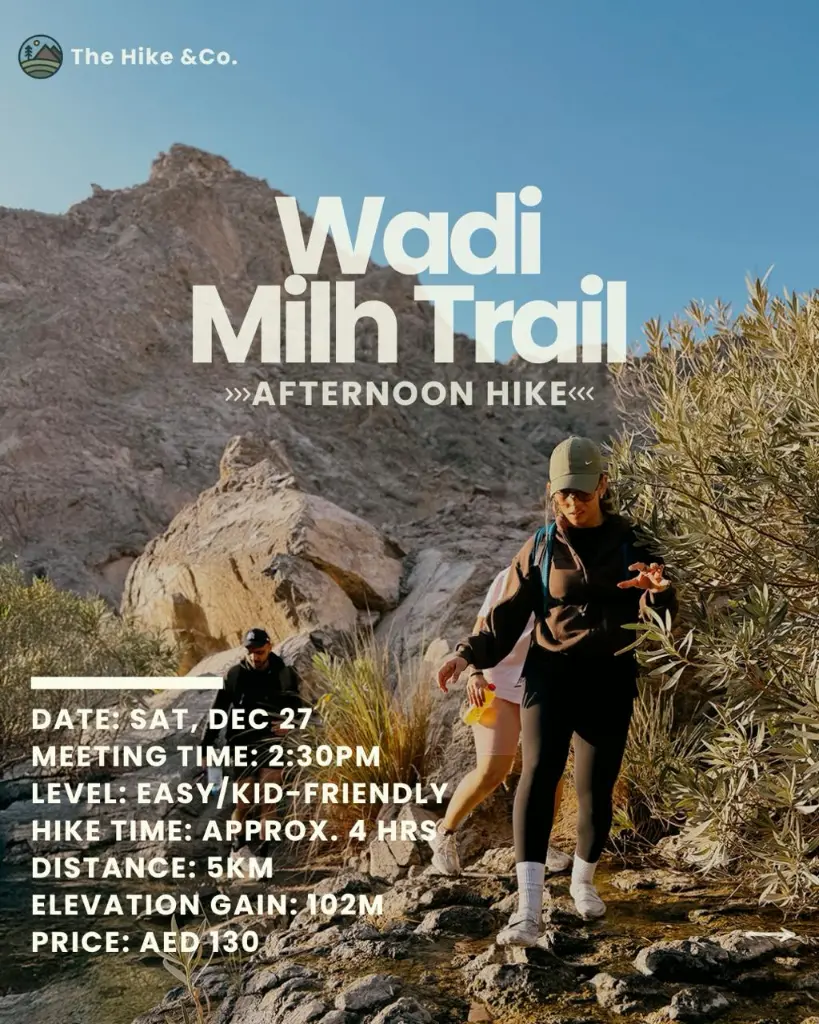 WhatsApp Image 2025-12-17 at 4.20.00 PM.webp