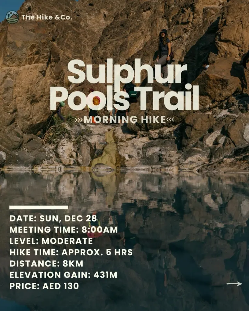 WhatsApp Image 2025-12-17 at 4.20.00 PM (1).webp