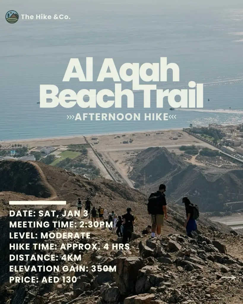 WhatsApp Image 2025-12-25 at 1.19.13 PM.webp