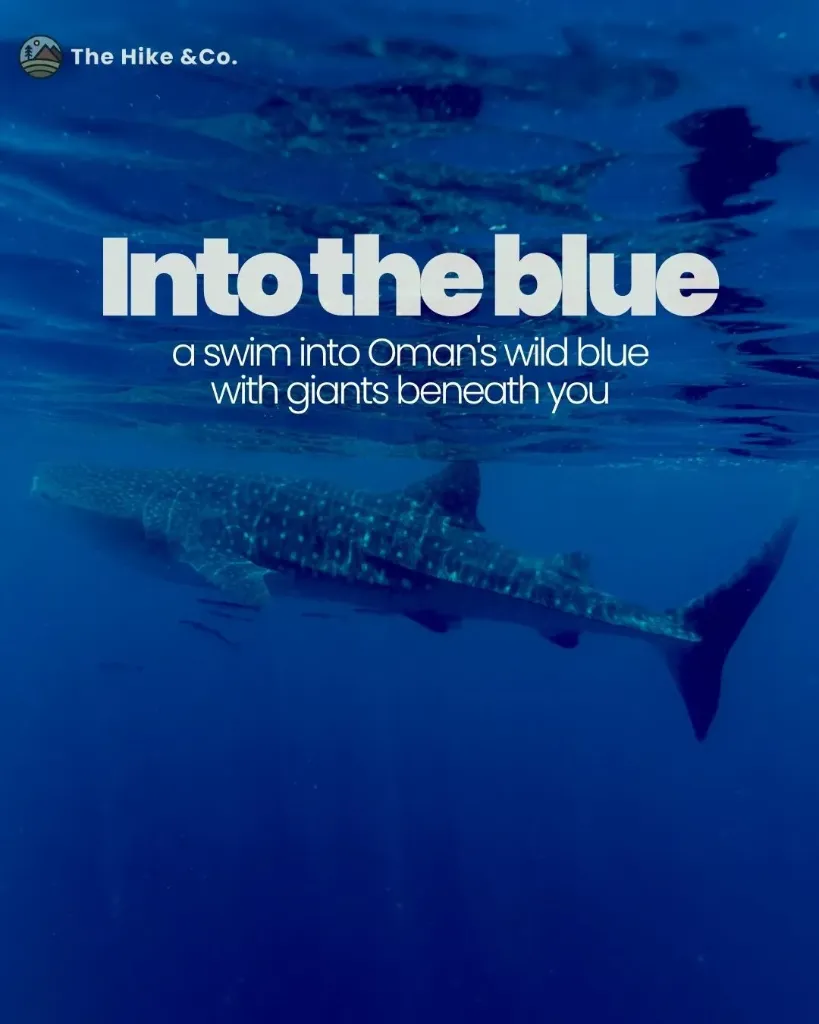 Into the Blue – Daymaniyat Islands
